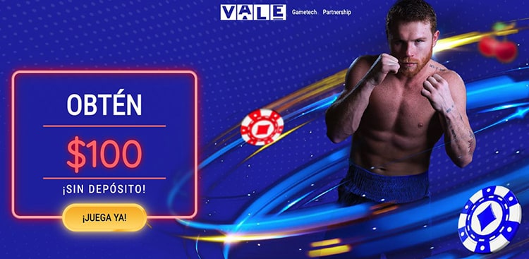 Casino Vale İncelemesi: Casino Vale'de Ödeme Seçenekleri